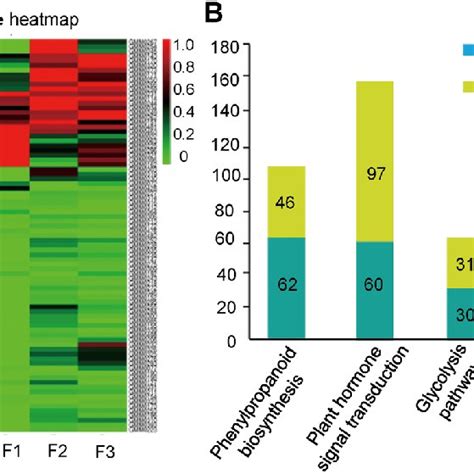 Metabolome Profiling Of Male Sterile And Male Fertile Flower A Heat