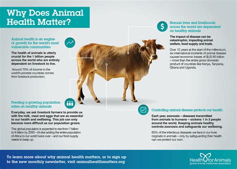 Why Does Animal Health Matter Healthforanimals