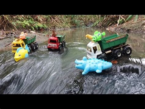 Menemukan Banyak Mainan Di Sungai Buaya Nemo Walrus Dump Truck