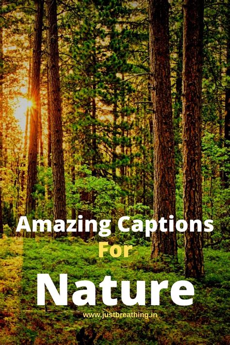 Best Nature Captions Captions Of Nature For Instagram Artofit