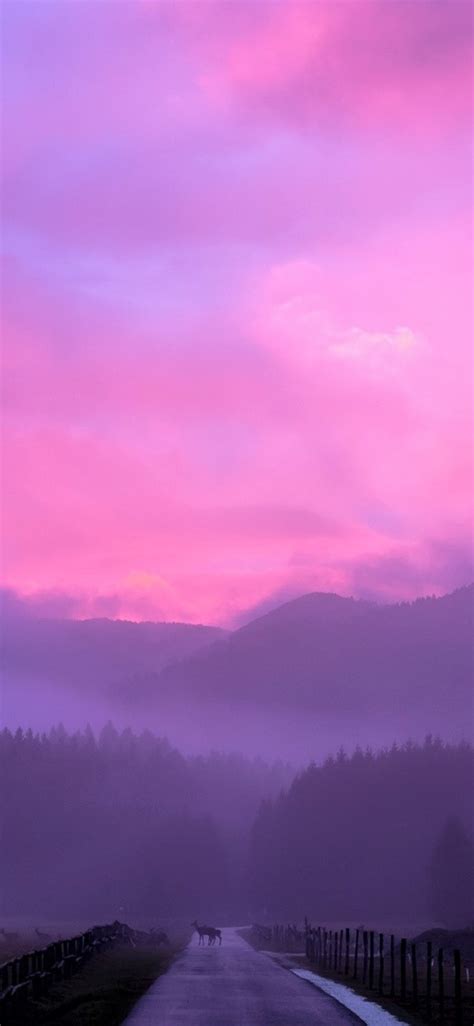 1125x2436 Misty Pink Sunset Iphone Xsiphone 10iphone X Hd 4k