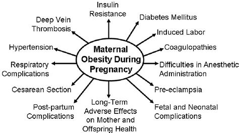 Obesity In Pregnancy Problems And Potential Solutions Semantic Scholar