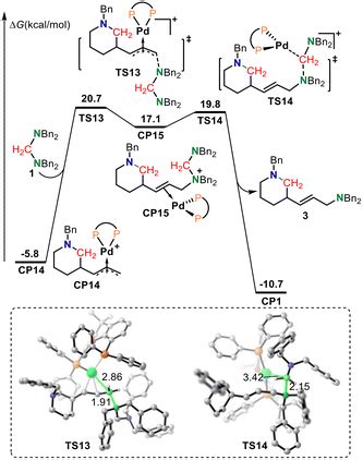 Cn Bond Metathesis Mechanistic Insight Into Palladium Catalyzed Ring