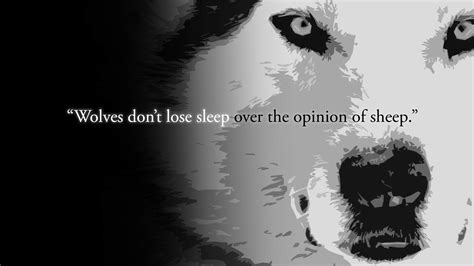 Wolf Quote HD Wallpaper by Carina-chan