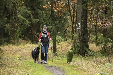 Wandern In Der Region Coburg Rennsteig Tourismusverband Franken