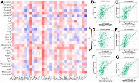 The Prognostic Significance And Immune Correlation Of Slc A In Low