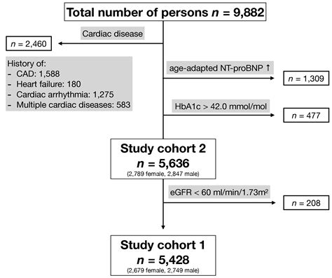 Jcm Free Full Text Revisited Upper Reference Limits For Highly