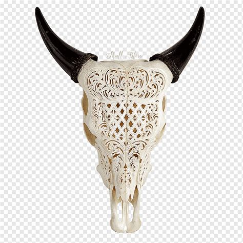 Calcoman A De Pared De Texas Longhorn Skull Aurochs Longhorn Cabeza