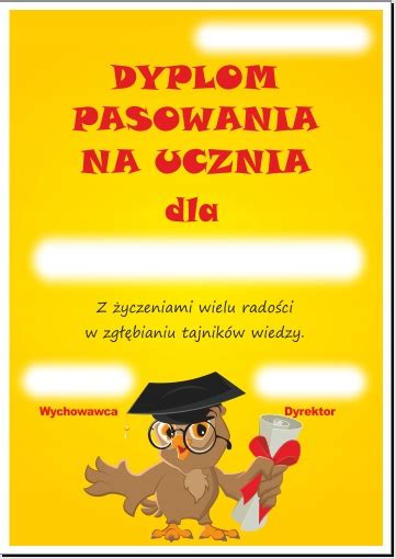 Dyplom Pasowania Na Ucznia Sowa A Gruby Papier Allegro Pl