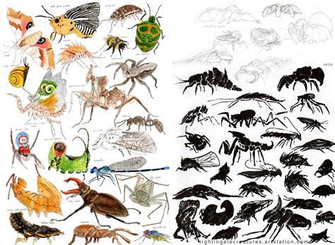 Artstation Insect Studies