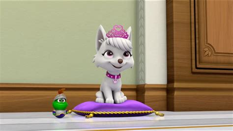 Sweetietrivia Paw Patrol Wiki Fandom