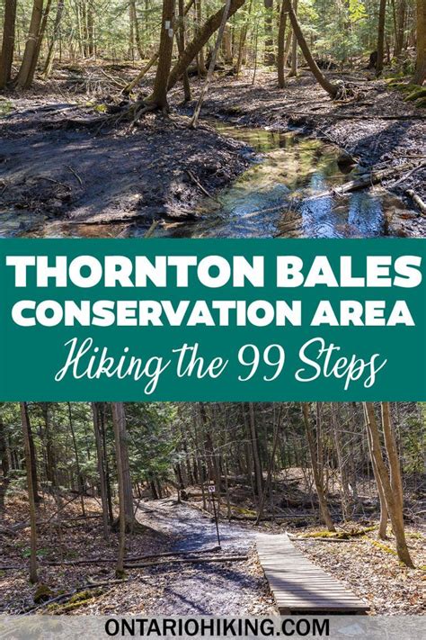 Thornton Bales Conservation Area 99 Steps And Beautiful Jokers Hill