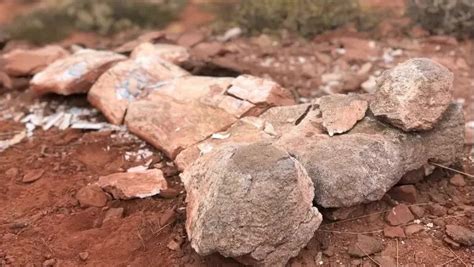 Descubren Restos De Un Gigantesco Dinosaurio En Neuquén Podría Ser Uno De Los Más Grandes De La