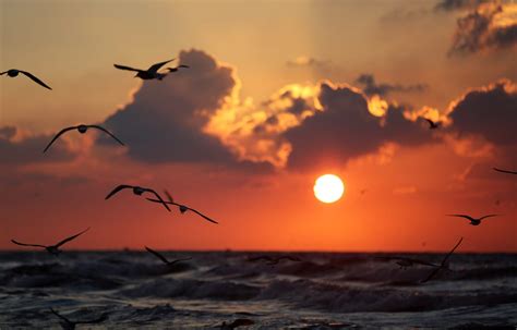 Beautiful sunset in Gaza – Middle East Monitor