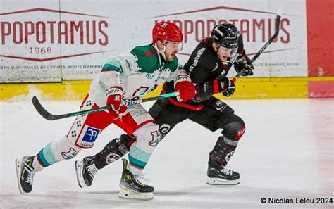 Hockey Sur Glace Ligue Magnus Ligue Magnus Me Journ E Amiens