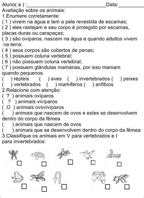 Blog Professora Daniele Atividade Animais Vertebrados E Invertebrados I