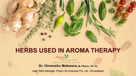 herbs   aromatherapy pptx