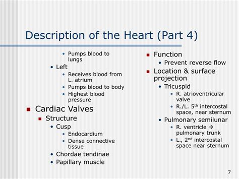 Ppt The Heart Powerpoint Presentation Free Download Id 6725514