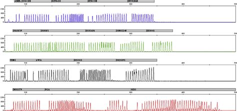 Developmental Validation Of The Powerplex® Esi 16 And Powerplex® Esi 17 Systems Str Multiplexes