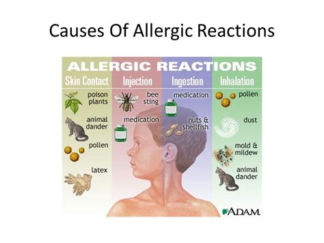 Allergic Skin Reactions To Antibiotics