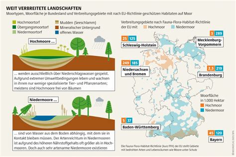 Naturnahe Moore Wichtige Klimasch Tzer Heinrich B Ll Stiftung