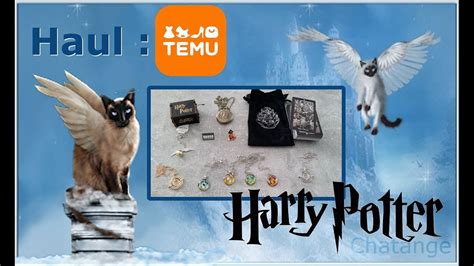 Haul Temu Sp Cial Harry Potter Youtube