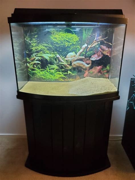 Gallon Bowfront Aquarium Complete Setup For Sale In Monroe Wa Offerup