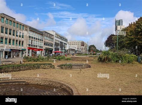 Plymouths Armada Way Clean Up After Tree Felling Incident A Clean Up