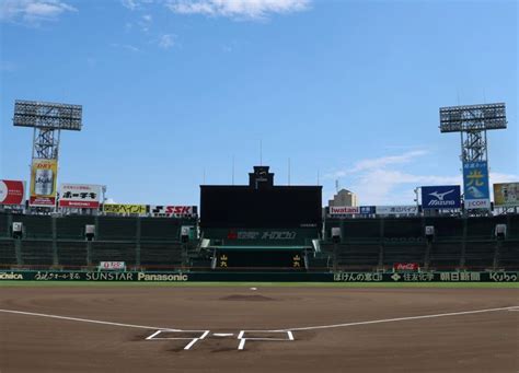 阪神「ファン感謝デー2023」11月25日に開催 阪神タイガース デイリースポーツ Online