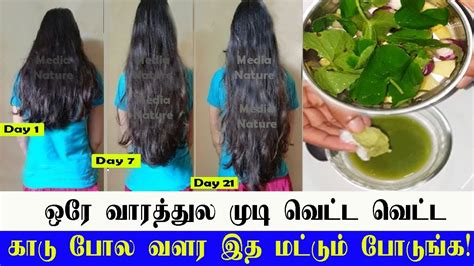 Fast Hair Growth In Tamil Home Remedy For Long Hair Best Hair Loss