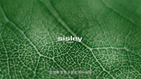 Cnent On Twitter Wangjunkai For Sisley Karrywang