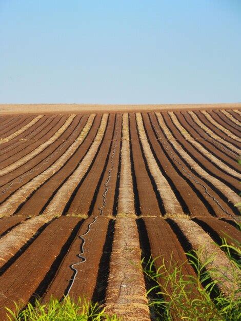 premium photo surface level  agricultural landscape  clear sky