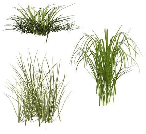 Download Grass Grassland Green Royalty Free Stock Illustration Image