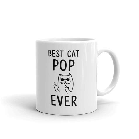 Best Cat Pop Ever Rude Funny Coffee Tea Ceramic Mug Office Work Cup T