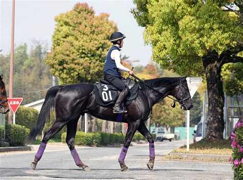 【青葉賞・山下の特注馬】良血馬グランヴィノスがダービー切符を取る 東京2400メートルで能力全開 ライブドアニュース