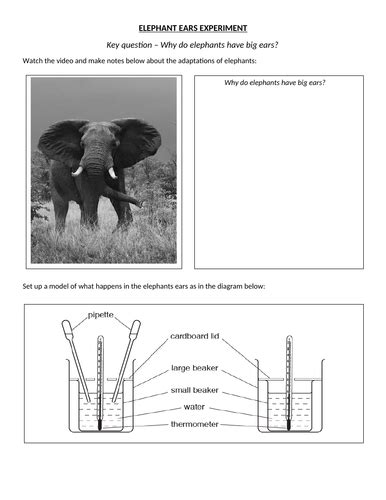 Adaptation - Elephant ears | Teaching Resources