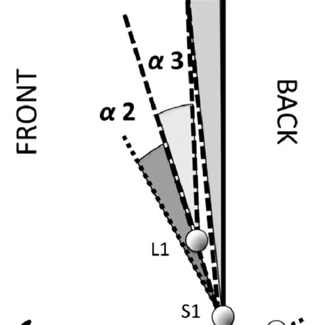 Representation of markers and angles in the sagittal plane during ...