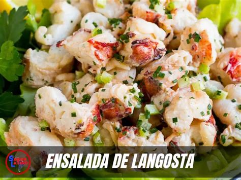 →《 Ensalada De Langosta 》puerto Rico ️《2024》receta ↑↑