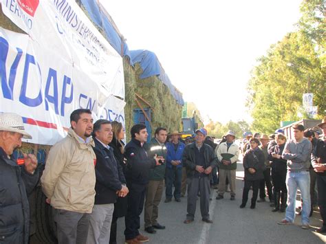 M S De Mil Fardos De Alfalfa Entreg Indap A Agricultores De Las