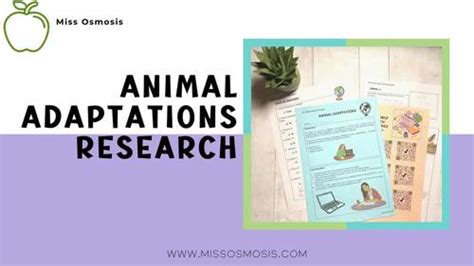 Life Science Research Project: Animal Adaptations by Miss Osmosis