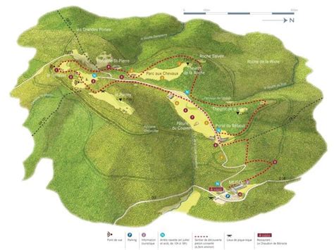 Plan de bibracte sur le mont Beuvray oppidum de l âge du fer 71 saone