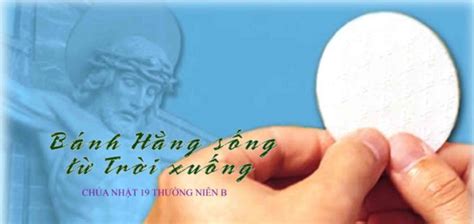 Bánh hằng sống từ trời xuống Suy niệm Chúa Nhật 19 TN Năm B