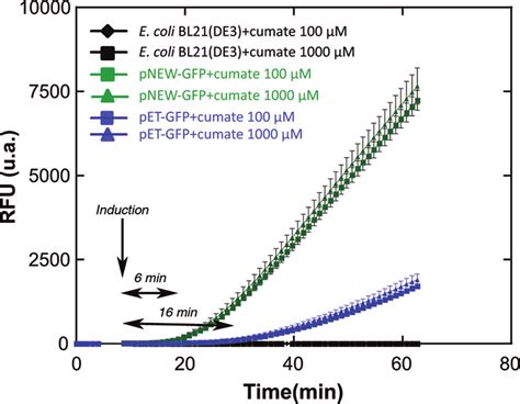 Time Course Analysis Of GFP Expression In E Coli BL21 DE3 Bearing