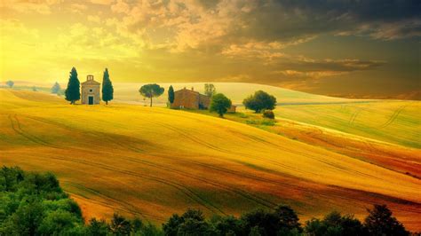 green, fied, summer, nature, sunset, tuscany, landscape, italy ...