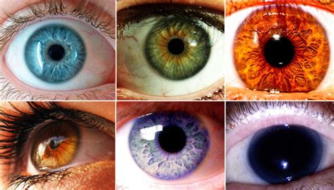 Los Cinco Colores De Ojos Más Extraños Del Planeta La Gaceta Tucumán