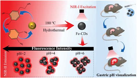 Fedoped Carbon Dots As Nirii Fluorescence Probe For In Vivo Gastric