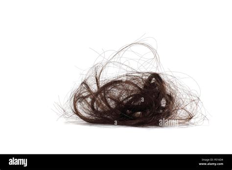 Pubic Hair Hi Res Stock Photography And Images Alamy