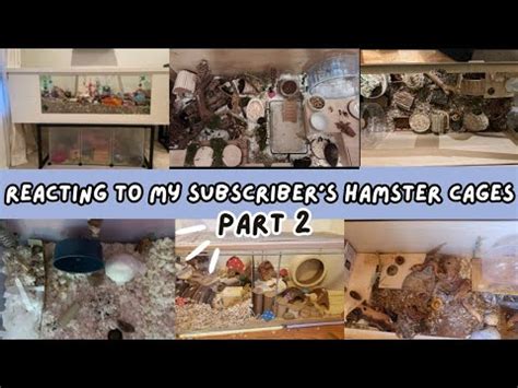 Reacting To My Subscriber S Hamster Cages Pt 2 400 Subscriber