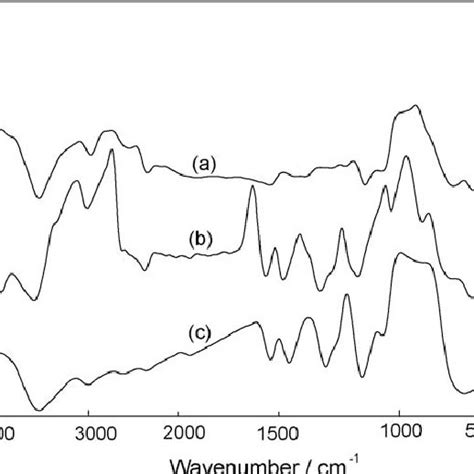 Ftir Spectra Of A Tio B Free Hcl Doped Pani And C Pani Tio