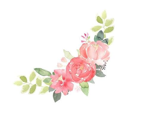 Coral Peony Clip Art 4 Floral Wreaths Flower Border Etsy Coral